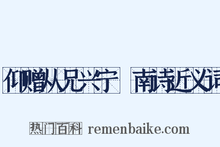 仰赠从兄兴宁寘南诗近义词是什么意思的图片